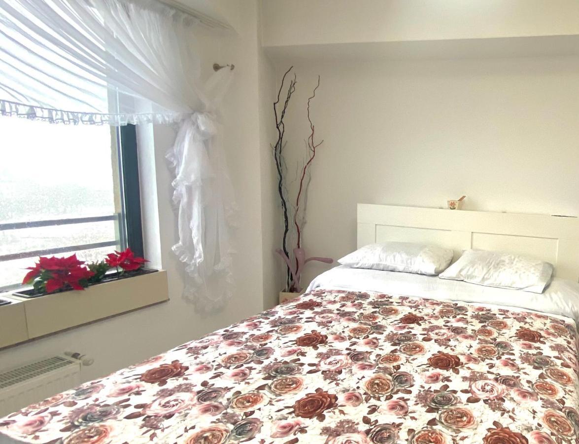 Lake House - Bucuresti Eksteriør billede
